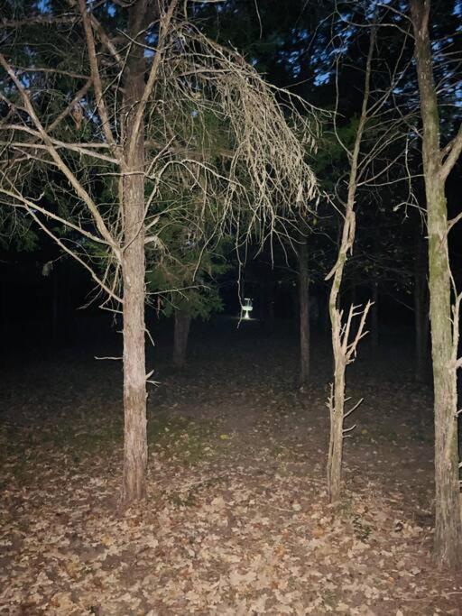 Bastrop Tiny Disc Golf Retreat Villa Exterior photo