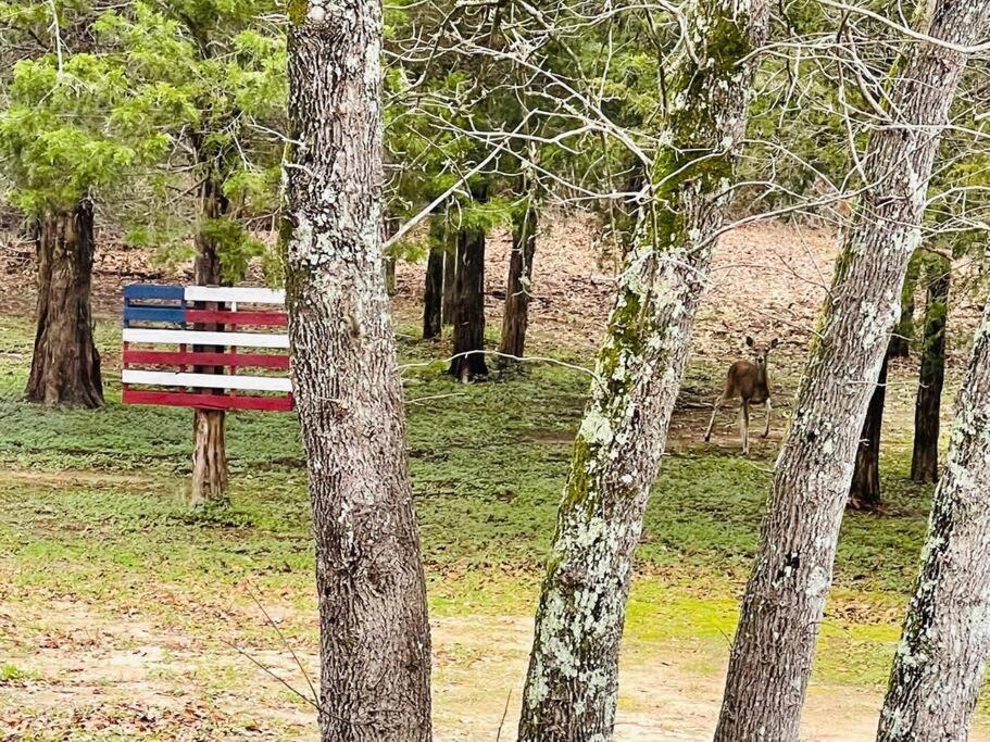 Bastrop Tiny Disc Golf Retreat Villa Exterior photo